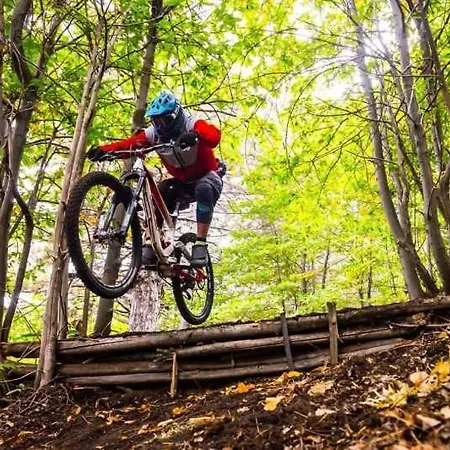 Just Like - Casa Do Sobreiro Velho Em Cerveira Вилла