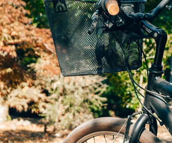 Just Like - Casa Do Sobreiro Velho Em Cerveira Villa *