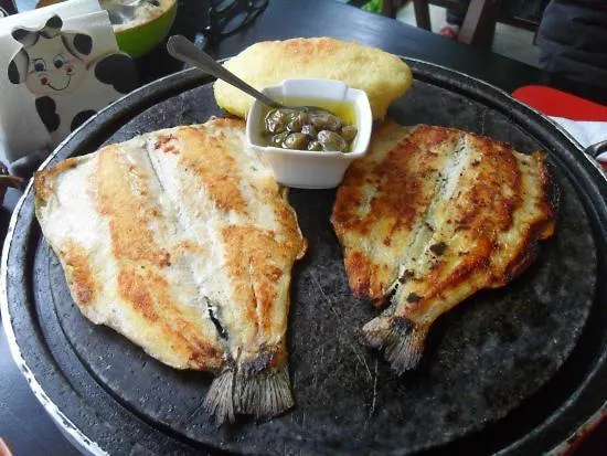 Just Like - Casa Do Sobreiro Velho Em Cerveira Vila Nova de Cerveira