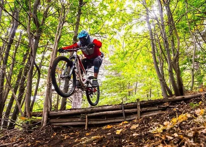 Just Like - Casa Do Sobreiro Velho Em Cerveira Villa